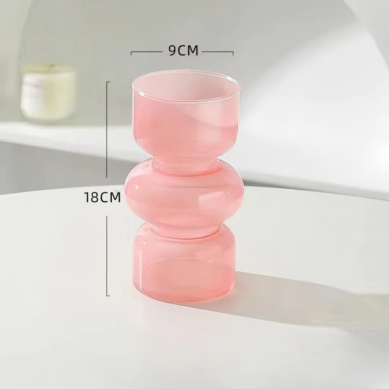 Vase en Verre style Nordique pour plantes hydroponique