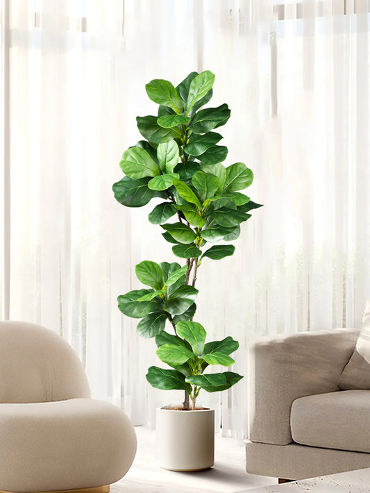 Plante Artificielle Ficus