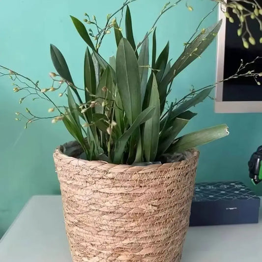 Pot Panier en Paille