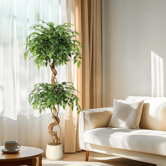 Ficus Artificiel Plante