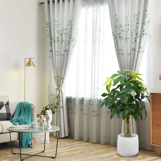 Arbre Monstera Plante