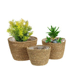 Pot Panier Tréssé
