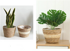 Pot Panier Tréssé