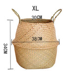 Pot Panier