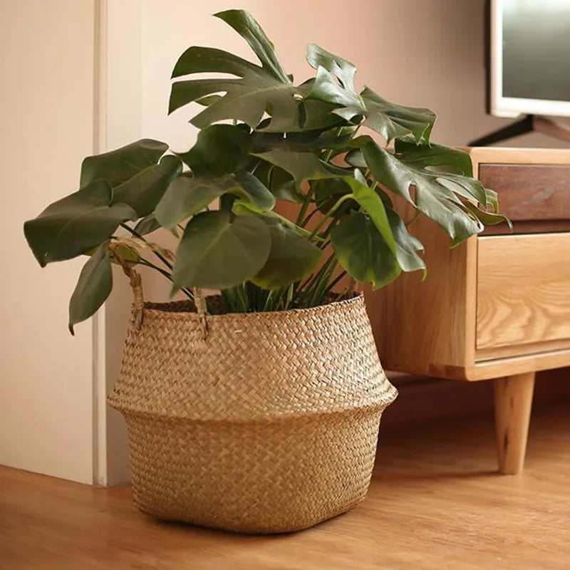 Pot Panier