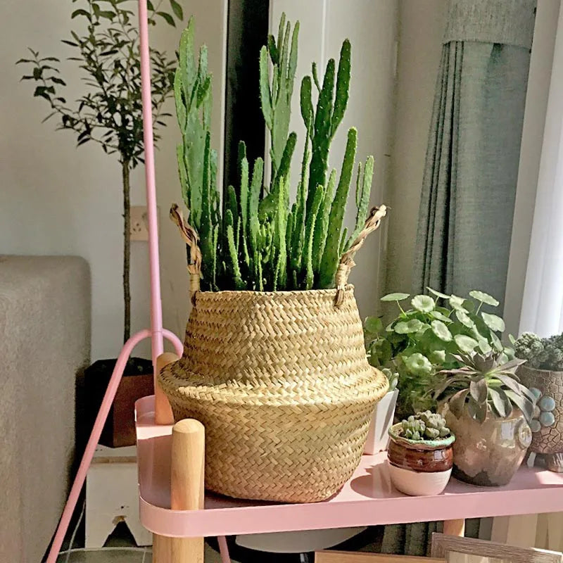 Pot Panier