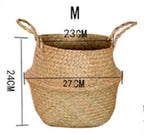 Pot Panier