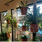 Macramé Mural Porte plantes - Paniers suspendus