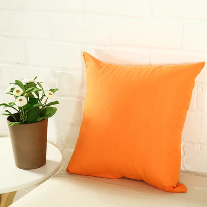 Housse de coussin Couleur
