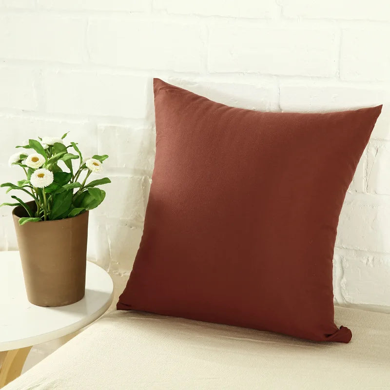 Housse de coussin Couleur
