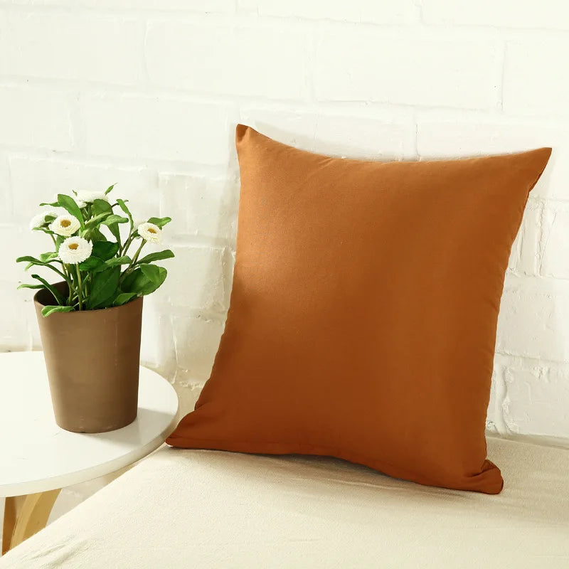Housse de coussin Couleur
