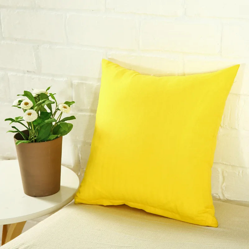 Housse de coussin Couleur
