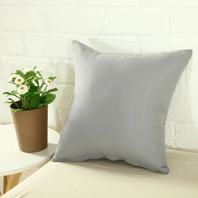 Housse de coussin Couleur
