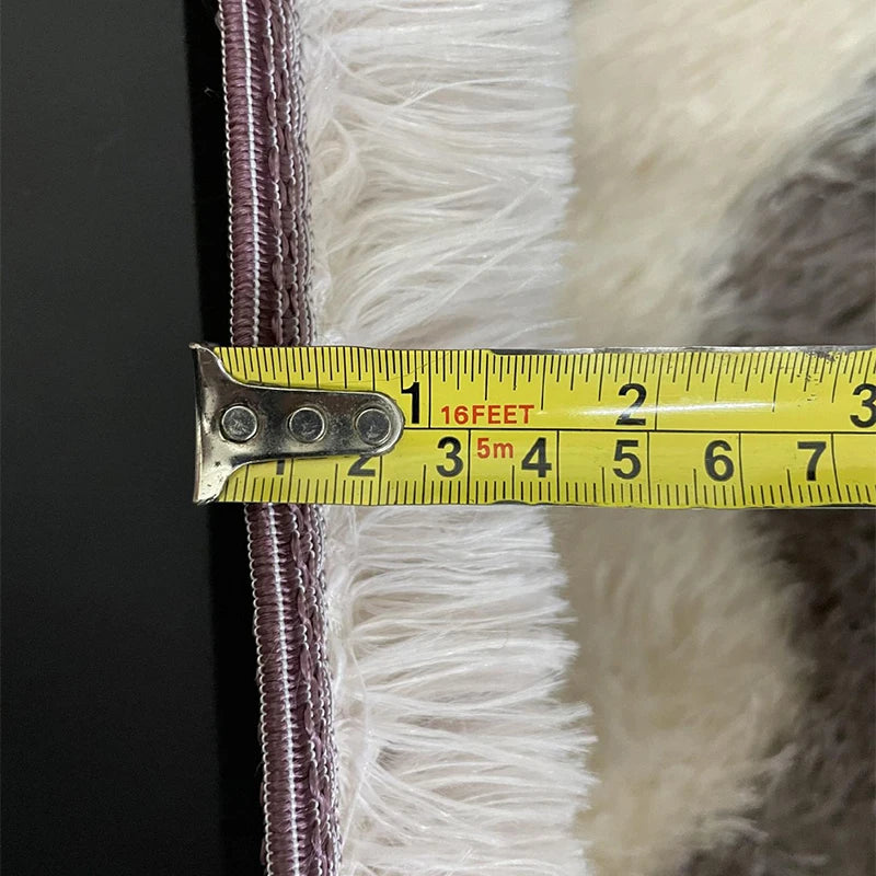 Tapis de Salon Moderne