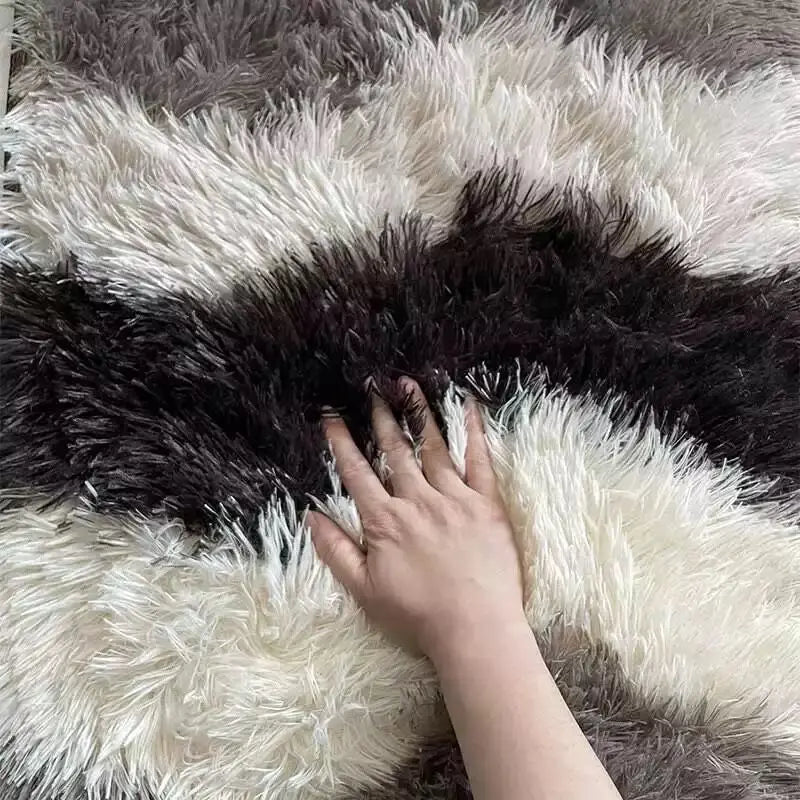 Tapis de Salon Moderne