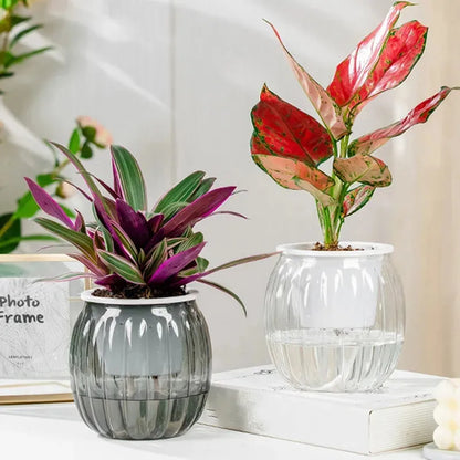 Mini pot citrouille en plastique blanc - Décoration intérieure