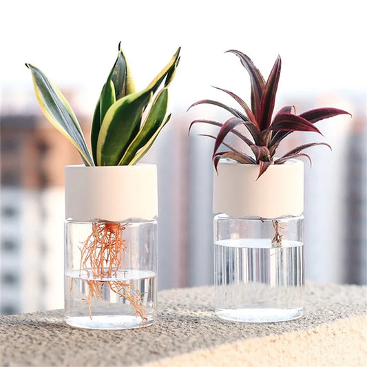 Mini pot de fleurs hydroponique vase décoratif pour boutures et plantes d'intérieur