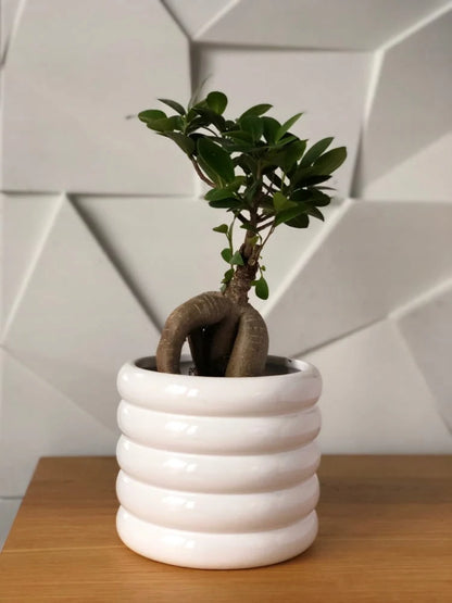 Pot cylindrique blanc en céramique de 13 cm