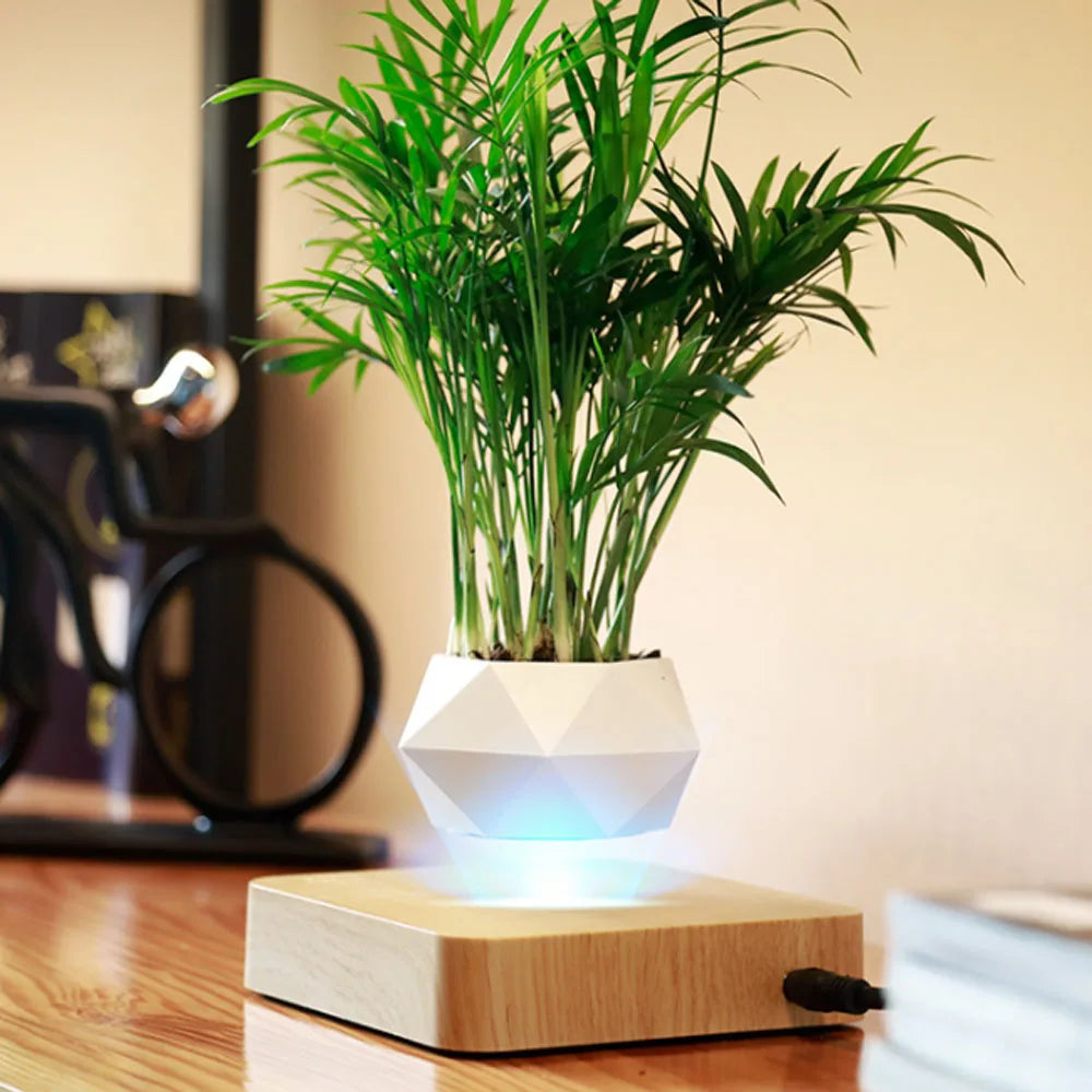 Pot de bonsaï en lévitation magnétique, flottant au-dessus de sa base en bois - Décoration intérieure