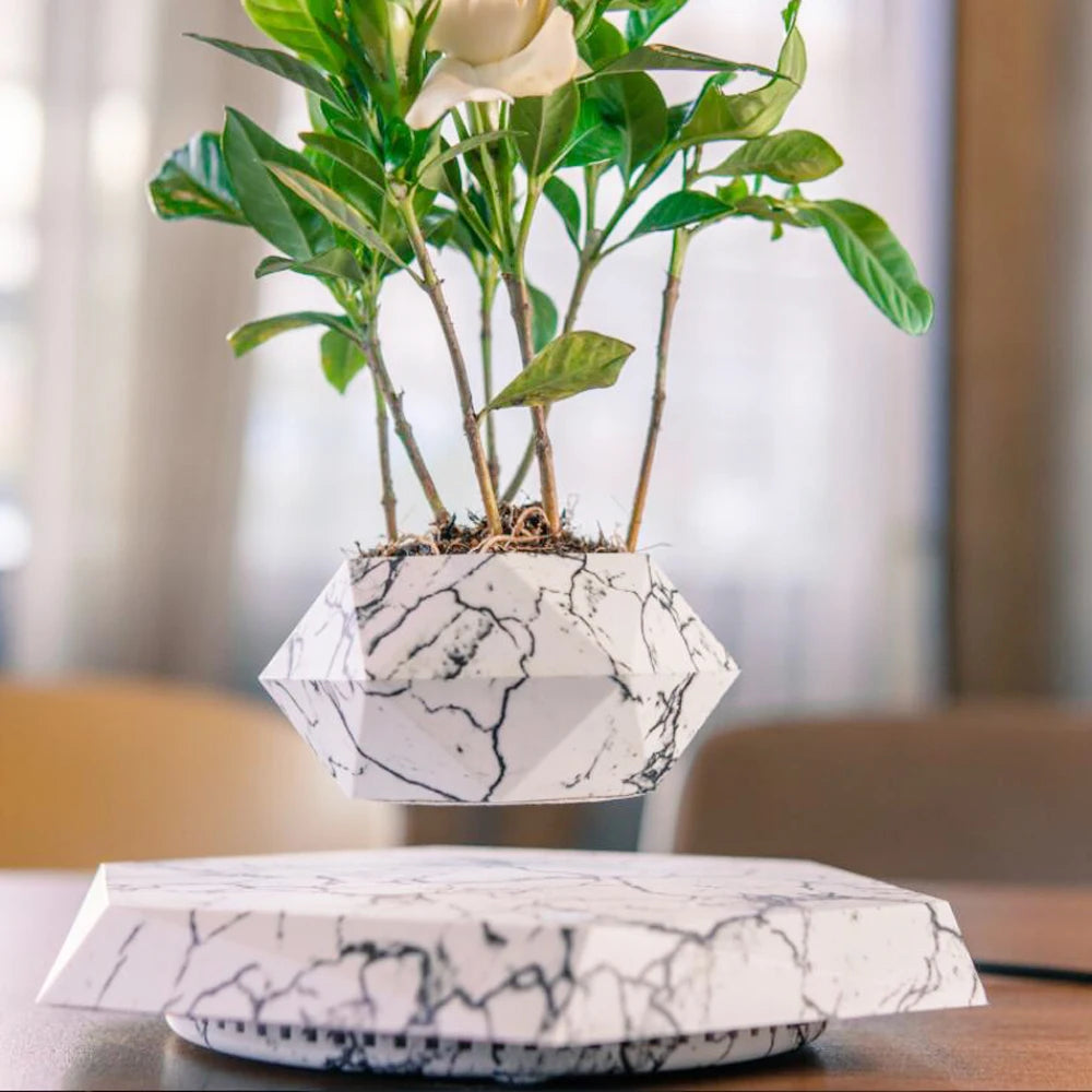 Pot de fleurs en lévitation magnétique - Décoration intérieure.