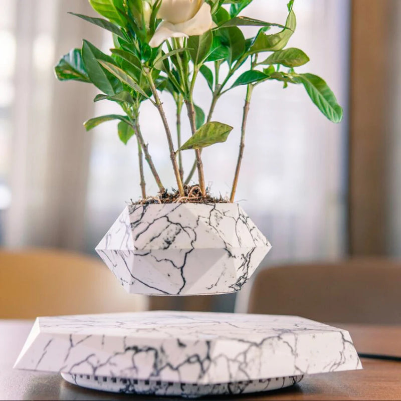 Pot de fleurs en lévitation magnétique - Décoration intérieure.