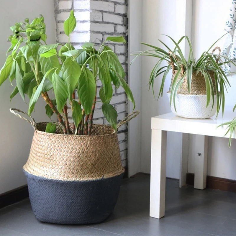 Pot de fleurs en paille tressée, panier déco naturel pour plantes vertes d’intérieur et d’extérieur - Décoration intérieure