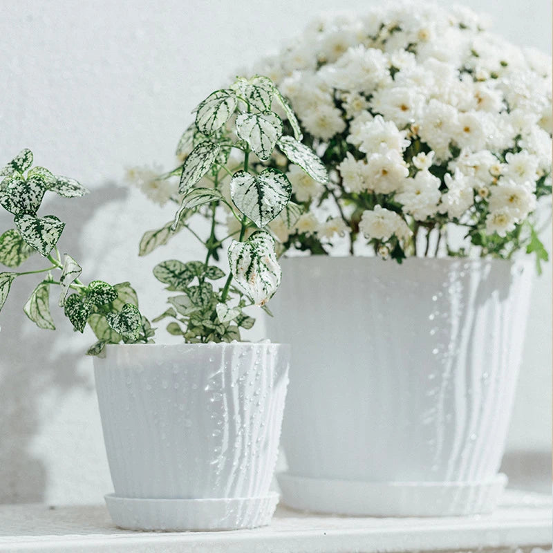 Pot de fleurs moderne en plastique épais - Décoration intérieure
