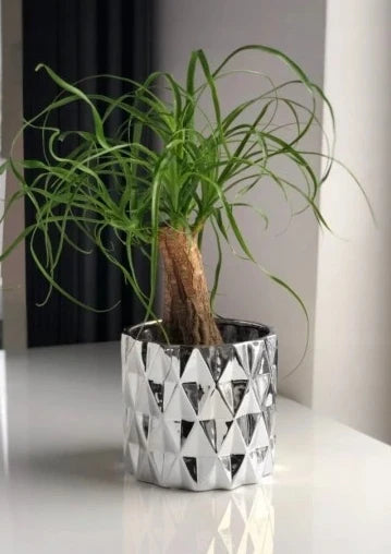 Pot en céramique argenté de 13 cm 