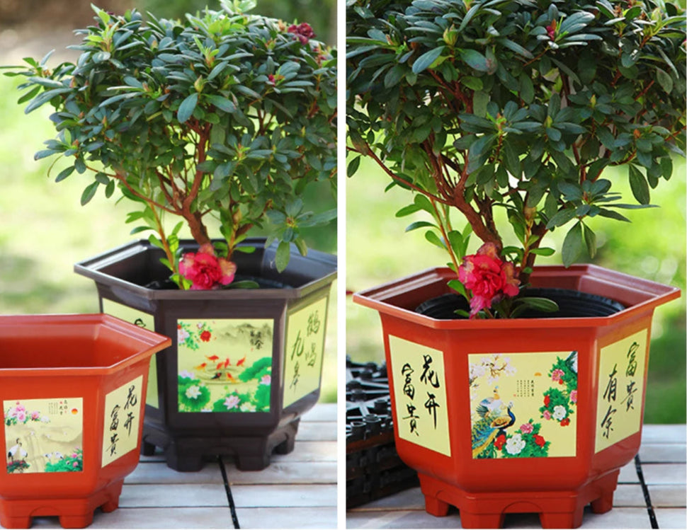 Pot hexagonal en résine imitation sable violet pour rosier, bonsaï ou arbre fruitier en jardin - Décoration intérieure