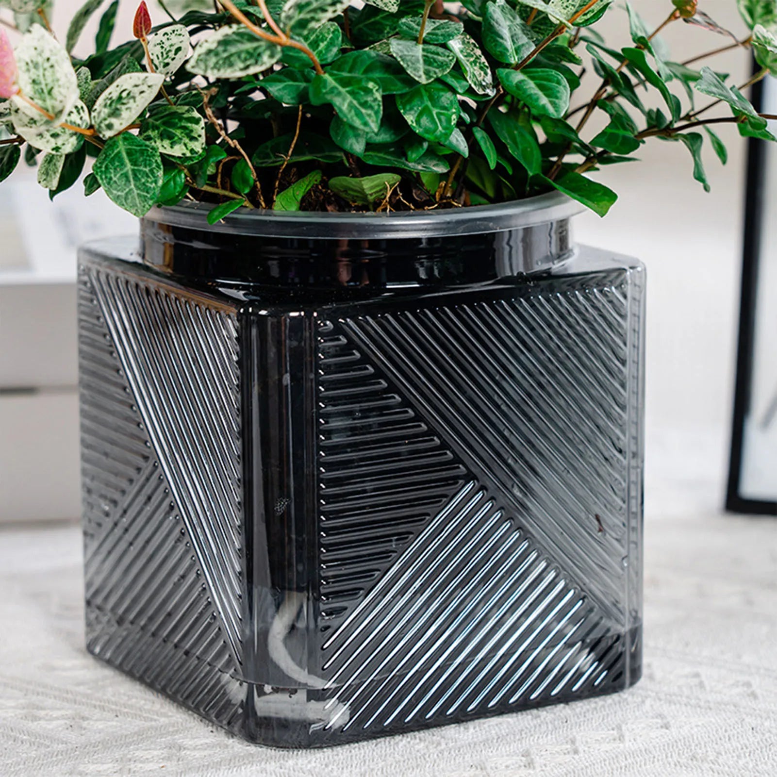 Pot hydroponique carré vert au design géométrique