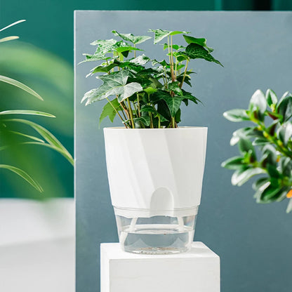 Pot hydroponique transparent auto-absorbant, idéal pour roses vertes et plantes paresseuses en intérieur - Décoration intérieure