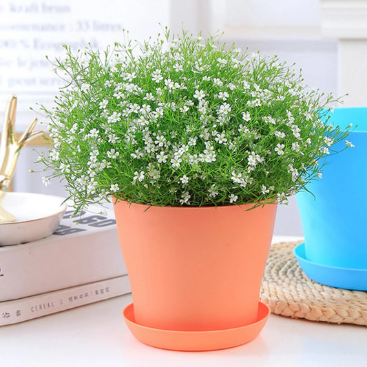 Pot rond multicolore pour succulentes, déco pop pour jardin, balcon, bureau ou maison - Décoration intérieure