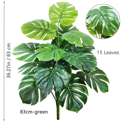 Plante Monstera  52-104cm