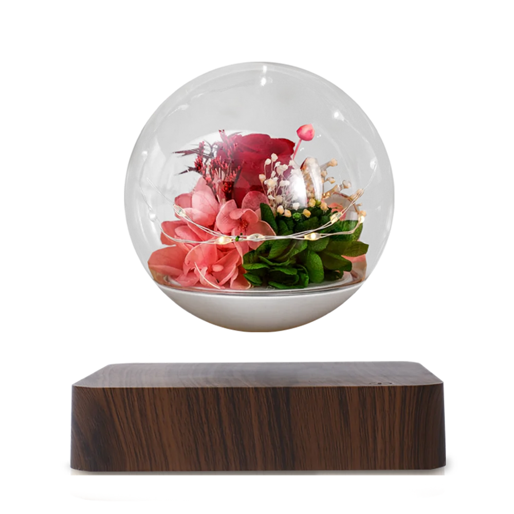 Pot de Fleurs en Lévitation