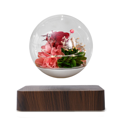 Pot de Fleurs en Lévitation