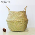 Pot de Fleur Panier