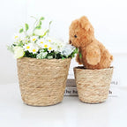 Pot Panier