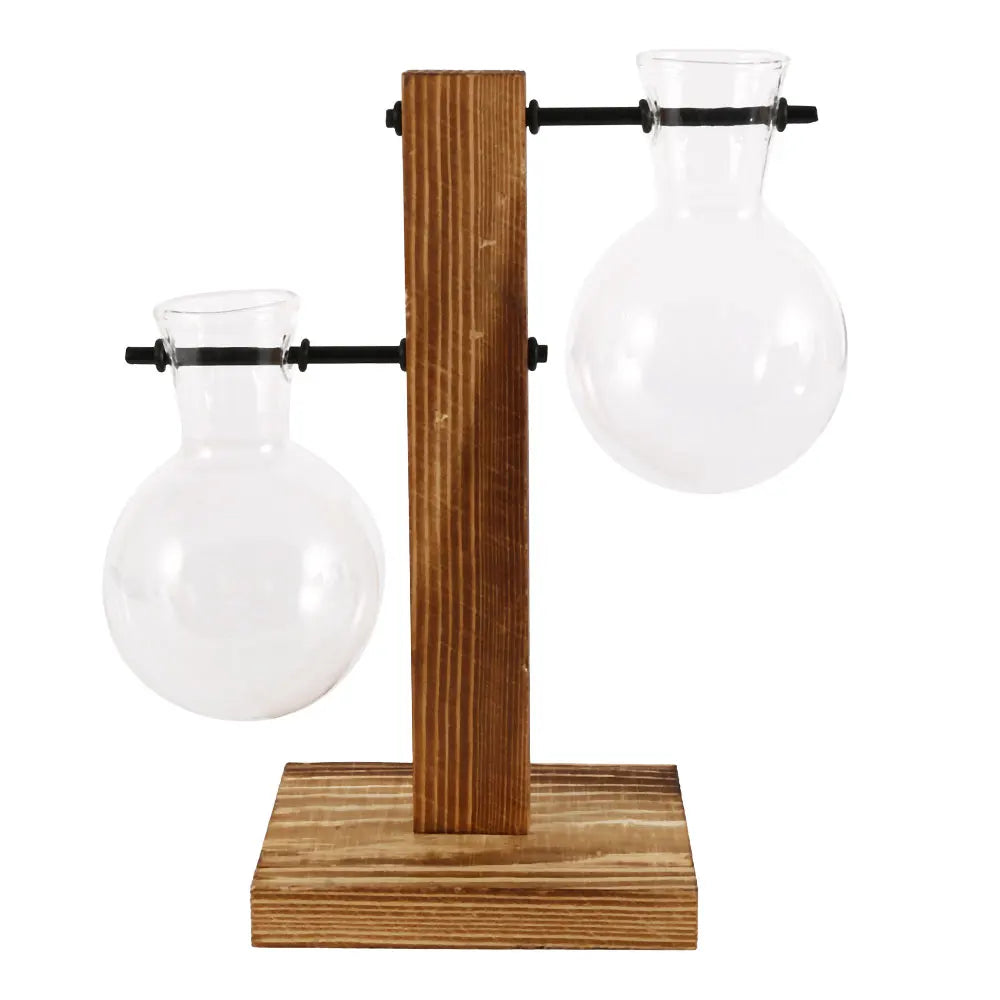 Vase Hydroponique en Verre