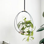 Macramé suspendue en bois naturel - Jardinière