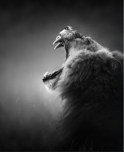 Tableau Moderne Art Animal