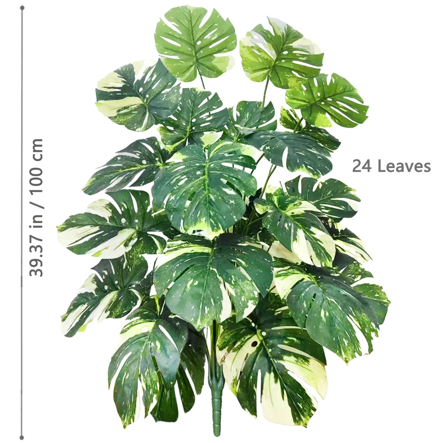 Plante Monstera  52-104cm