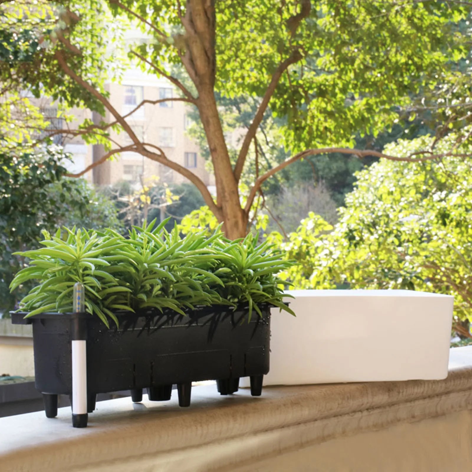 Pot de Fleur Rectangulaire