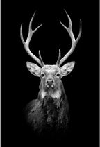 Tableau Moderne Art Animal