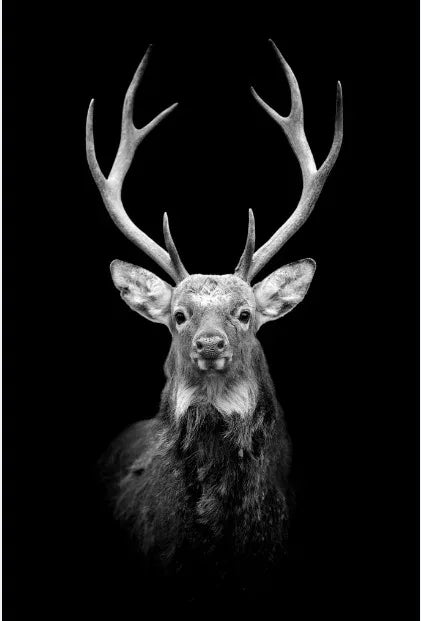 Tableau Moderne Art Animal