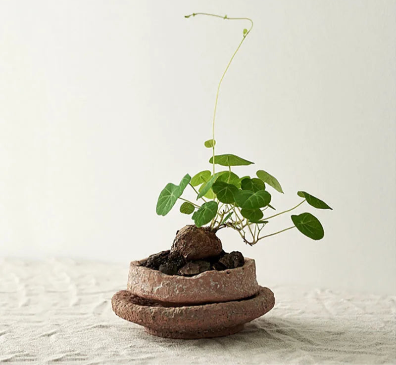 Pot en Poterie Brute