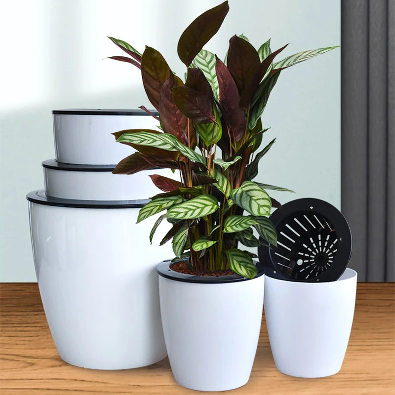 Pot de Fleurs Rod