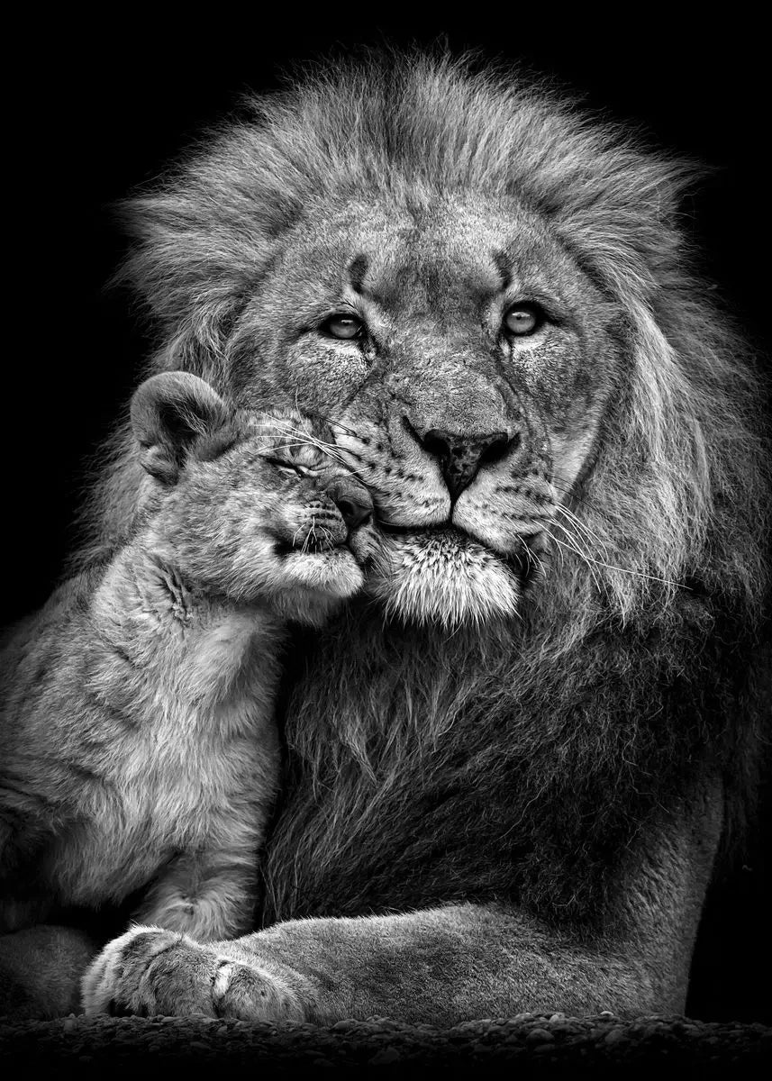 Tableau Moderne Famille Lion