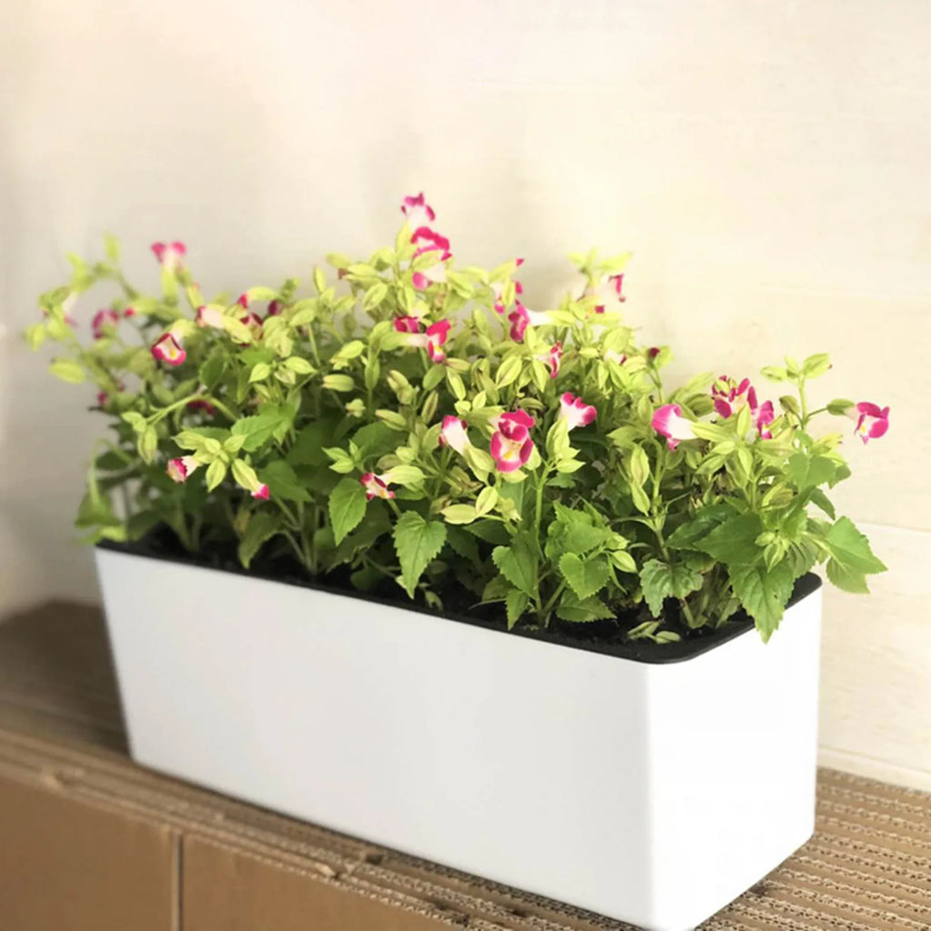 Pot de Fleur Rectangulaire
