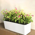 Pot de Fleur Rectangulaire