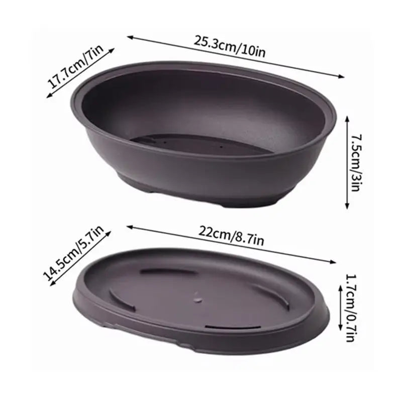 Pot Bonsaï Décoration Intérieure